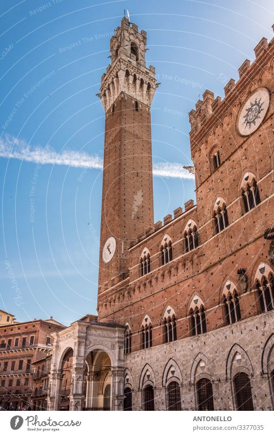 Linke Seite des Palazzo Comunale von Siena elegant Ferien & Urlaub & Reisen Tourismus Sommer Kunst Architektur Himmel Wolkenloser Himmel Schönes Wetter Toskana