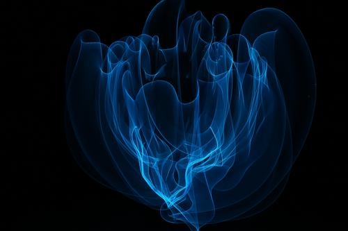 Zarter Schleier (LightPainting) Rauch berühren Bewegung leuchten zeichnen Rauchen Tanzen träumen außergewöhnlich fantastisch schön einzigartig wild weich blau