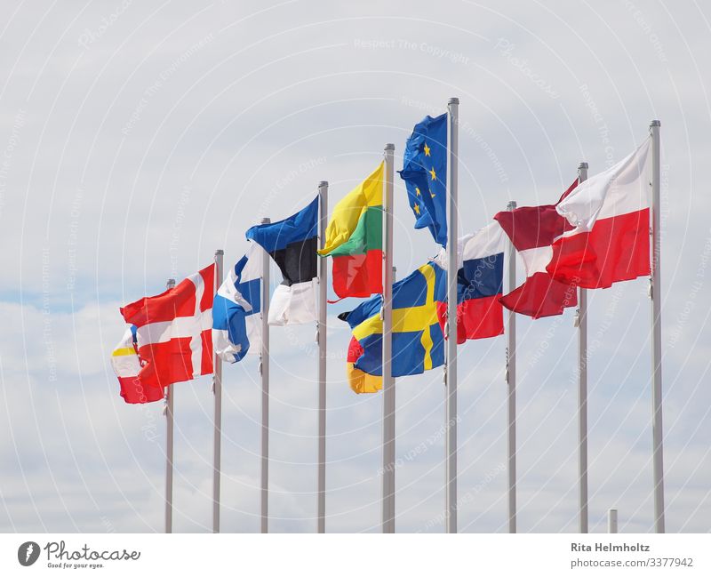 Europaflaggen Fahne Freundlichkeit Fröhlichkeit blau mehrfarbig Einigkeit loyal Zusammensein Gesellschaft (Soziologie) Politik & Staat Zusammenhalt Europafahne