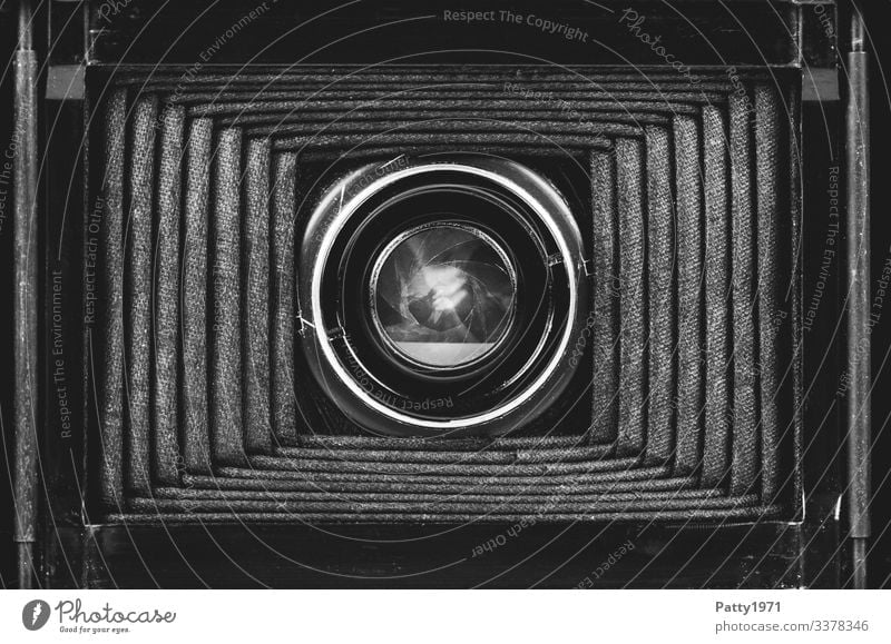 Innenleben einer Balgenkamera Fotokamera Blende Objektiv Fotografie alt komplex Nostalgie Vergangenheit Schwarzweißfoto Nahaufnahme Detailaufnahme Menschenleer