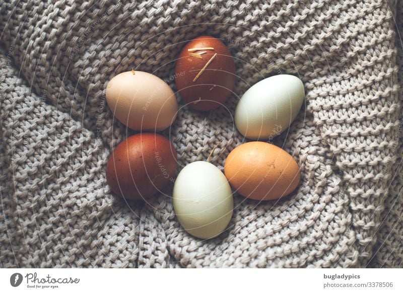 Sechs Eier in verschiedenen natürlichen Farben auf einer grauen Decke in Form einer Blüte ausgelegt Lebensmittel Bioprodukte biologisch Ernährung Ostern Natur