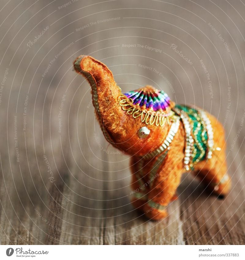 Bollywood goes Photocase Freizeit & Hobby orange Elefant Elefantenohren Indien bollywood Kitsch tierisch Tier Rüssel Holz Dinge Dekoration & Verzierung Fell
