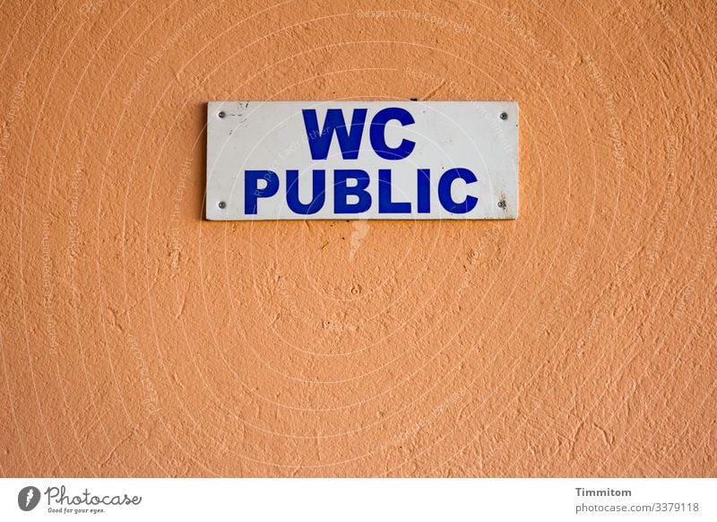 WC PUBLIC Gebäude Mauer Wand Schilder & Markierungen Hinweisschild Kunststoff Schriftzeichen Linie einfach blau braun weiß Gefühle Erleichterung Toilette