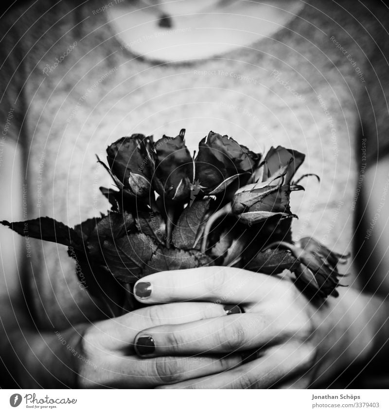 schwarze Rosen zum Valentinstag Abstrakter schwarzer Hintergrund Blumen Darkmode Date Datum Draufsicht Frau Freude Freundin Frühlingsgefühle Gefühle Geschenk