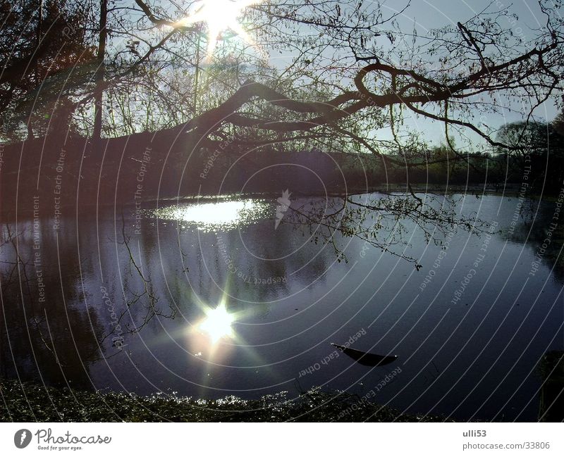 Herbsttag Licht Gegenlicht Reflexion & Spiegelung Wasser Sonne Sonnenlicht Seeufer Hoffnungsschimmer Teichlandschaft