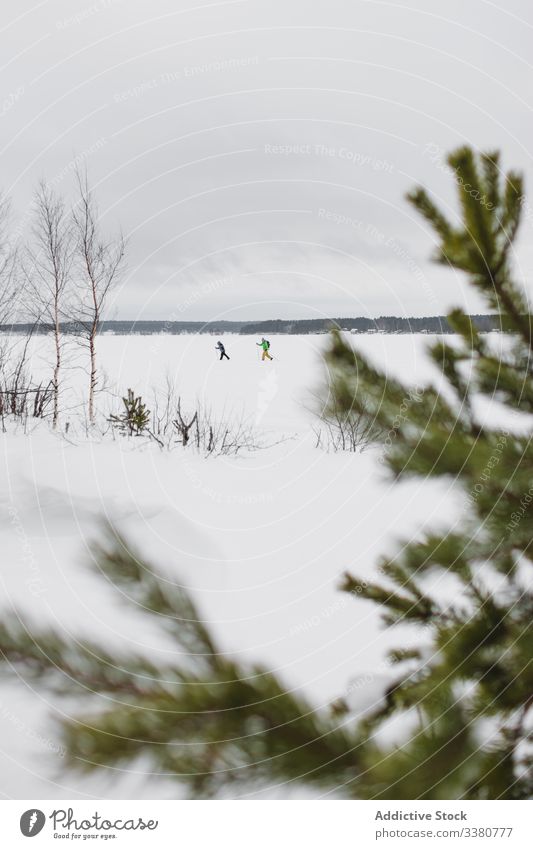 Winterfeld mit laufenden Skifahrern Natur Landschaft Menschen Schnee Feld Wald Baum Fichte Ast Rahmen wolkig kalt Saison wild Umwelt Wetter Schwedisch Lappland