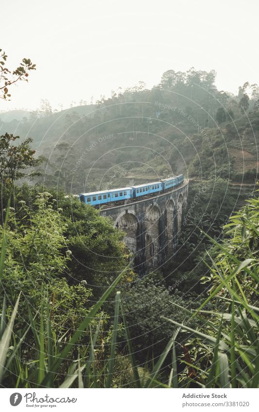 Zug auf Brücke inmitten üppiger Pflanzen in den Bergen tropisch Landschaft grün exotisch Wälder Regenwald Nebel Stein Konstruktion Sri Lanka Asien alt gealtert