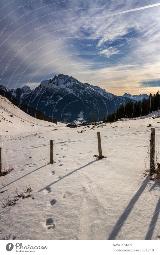 Schnee in den Berchtesgadener Alpen Winter Spuren Sonnenuntergang Sonnenlicht Berge u. Gebirge Landschaft Außenaufnahme Schönes Wetter Menschenleer
