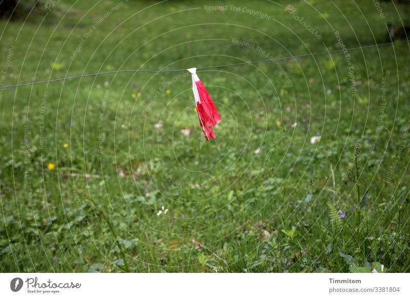 Ah da! Ein Draht! Abgrenzung Markierung Flatterband rot weiß Wiese Gras Barriere Schutz rot-weiß Verbote Zaun Menschenleer