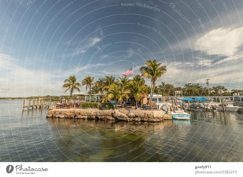 Richtung Key West Florida genießen Ferne Freiheit Küste Ozean Farbfoto Außenaufnahme Sonne Fernweh Ferien & Urlaub & Reisen Sonnenlicht Himmel Schönes Wetter