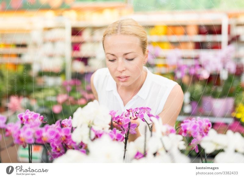 Schöne Dame, die nach bunt blühenden Orchideen riecht. Blume kaufen tropisch Gewächshaus Werkstatt Business Garten Glück Gärtner Gartenbau Laden farbenfroh