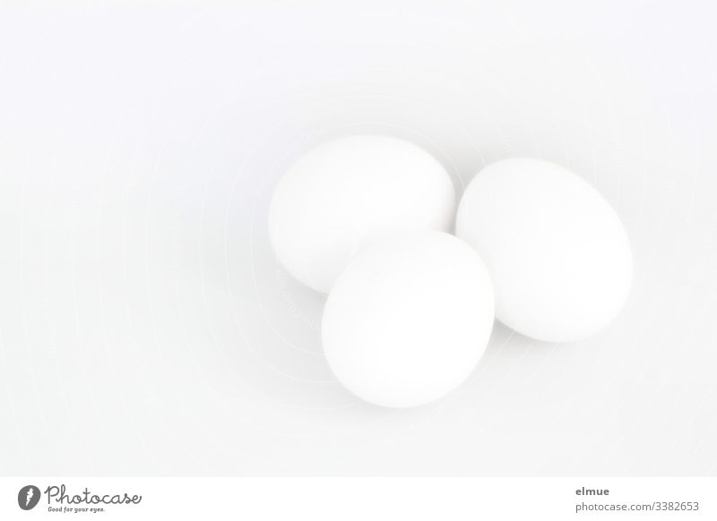 drei weiße Eier Highkey abheben Ostern Essen Nahrungsmittel Hühnerei Huhn Ernährung Osterei Innenaufnahme Frühstück farblos monochrom oval bemalen Farbgrund