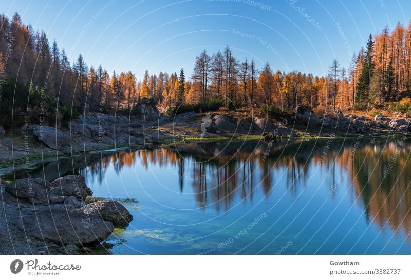 Herbst im Tal der sieben Seen in den Julischen Alpen alpin Hintergrund Schönheit blau bohinj zentral übersichtlich Ökologie Europa Wald gorenjska Gras grün HDR