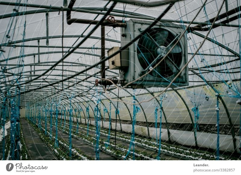 Gewächshaus, Lüfter, industrieanlage blau Landwirtschaft Ernährung Landschaftsformen grün Arbeitsplatz