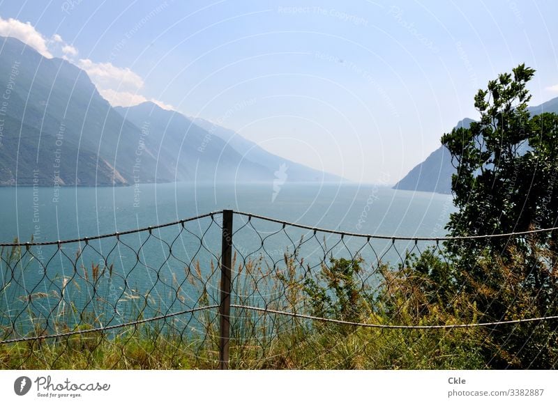 Gardasee Riva del Garda Monte Brione See Berge u. Gebirge Himmel Zaun Baum Sträucher Wolken Aussicht Weite Gipfel Horizont Sommer Wanderung Italien Norditalien