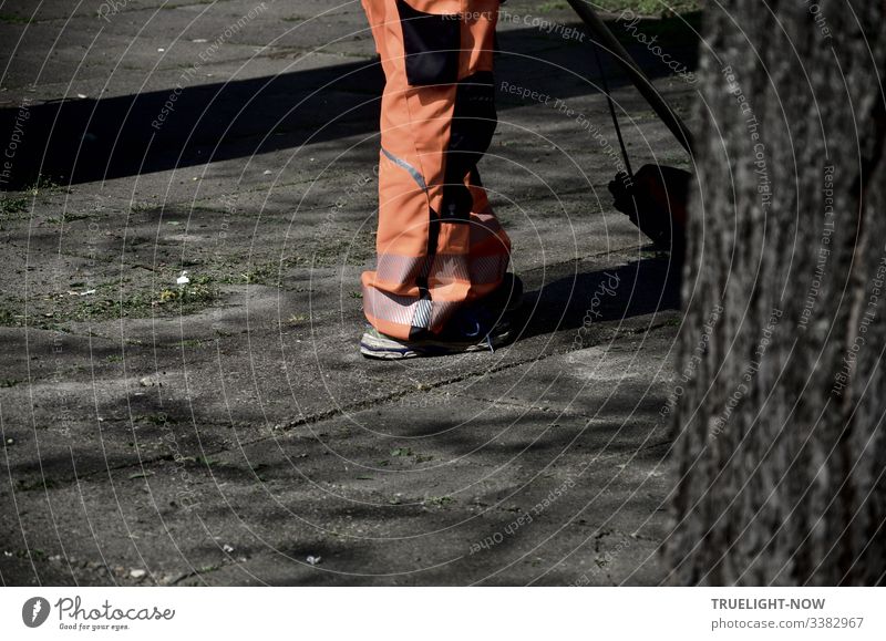 Stadtreiniger in Orange beim Frühjahrsputz der grauen Betonplatten neben unscharfer Teilansicht eines im Vordergrund stehenden Baumes Mann Hosenbein Overall