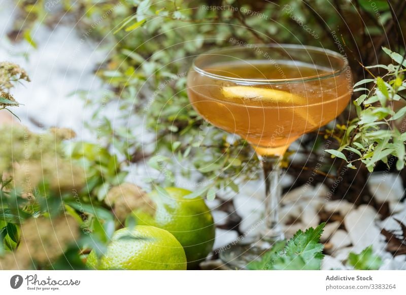 Gekühltes Cocktailglas auf dekoriertem Tisch gekühlt Alkohol Glas festlich Erfrischung Kalk Pflanze Getränk trinken Frucht liquide Party farbenfroh elegant