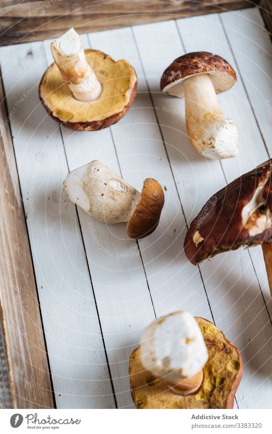Ernte von reifen Champignons auf weißem Tisch Pilz Wald Lebensmittel braun geschmackvoll lecker frisch rustikal organisch Ernährung Feinschmecker Natur