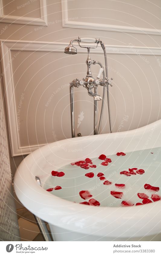 Geschmücktes Badezimmer für ein romantisches Date zu Hause Badewanne Blütenblatt Roséwein Wasser Termin & Datum heimwärts Konzept Feiertag Hygiene Überraschung