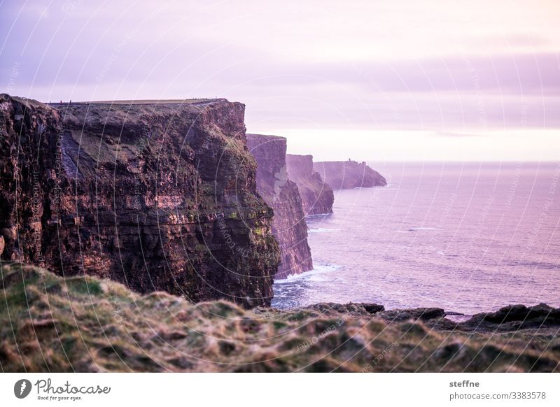 Cliffs of Moher bei Sonnenuntergang Sehenswürdigkeit Touristenattraktion Urlaub romantisch blaue Stunde Klippen am Meer Steilküste Irland