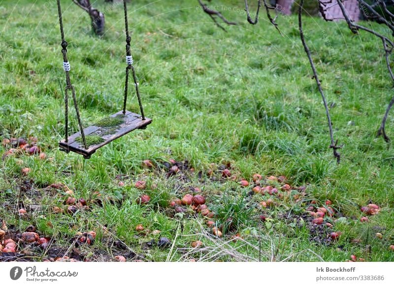 Schaukel im Herbst schaukel Spielplatz Freude Außenaufnahme schaukeln Kindheit Garten Menschenleer Freizeit & Hobby Farbfoto Moos Äpfel trist Tristess