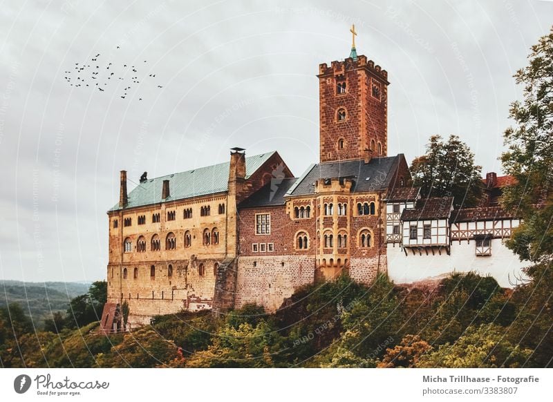 Wartburg Eisenach, Thüringen Burg Geschichte Kultur Sehenswürdigkeit Architektur Mauern Fassade Turm Fenster Bäume Sträucher Himmel Wolken groß gewaltig