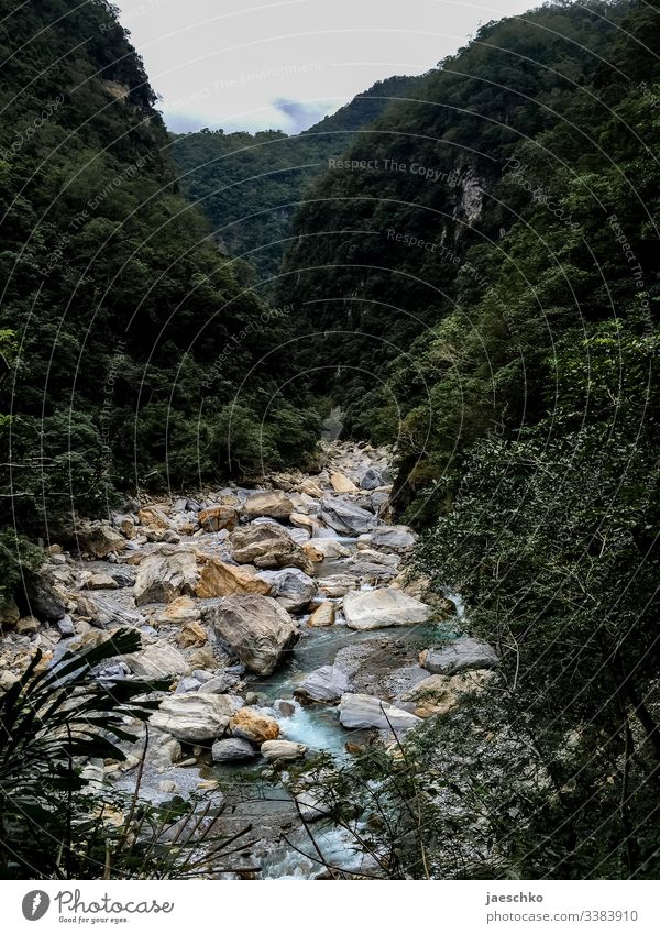 Schlucht mit wildem Fluss in einem Nationalpark Felsen Steine Natur Berge u. Gebirge fließen Bach grün Landschaft Naturschutzgebiet Wald Regenwald Taiwan