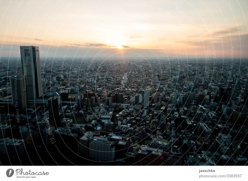 Tokio Tokyo Großstadt Millionenstadt Metropole Skyline Japan Aussicht Stadt Hochhaus Hauptstadt Stadtzentrum Vogelperspektive Asien Überbevölkerung
