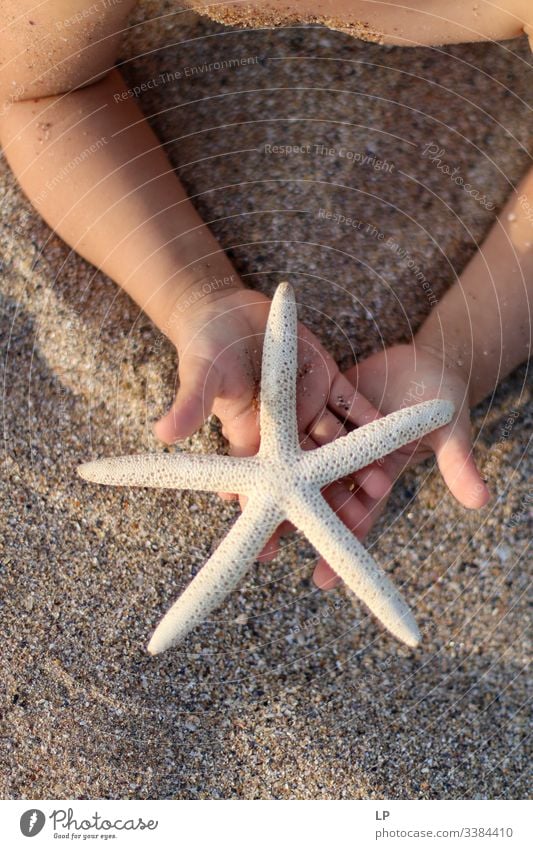 Seesterne in den Händen eines Kindes am Strand Seeküste Stern (Symbol) Meer Natur Sand Angebot Geschenk Sommer Ferien & Urlaub & Reisen Erholung marin schön