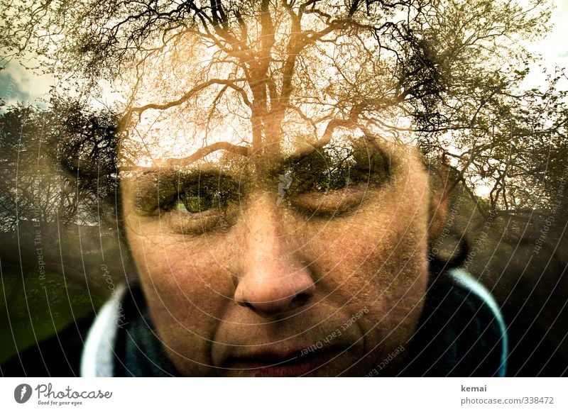 Helgiland | Thriving tree Mensch feminin Frau Erwachsene Leben Kopf Auge Nase Mund 1 30-45 Jahre Umwelt Natur Landschaft Pflanze Schönes Wetter Baum Blick