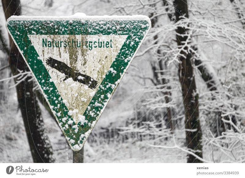 älteres Naturschutzgebiet-Schild mit Schnee Winter Wald kalt Umwelt Bäume verwittert Hinweisschild Seeadler