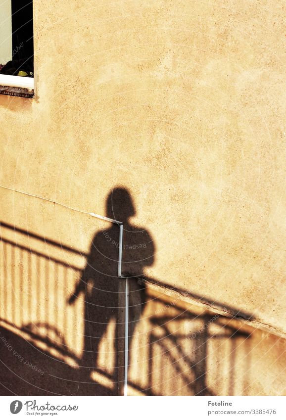 Schatten einer Frau auf einer Treppe mit Treppengeländer an einer Hauswand Licht & Schatten Architektur Gebäude Wand Mauer Außenaufnahme Tag Farbfoto Bauwerk