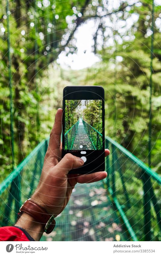 Ernte-Tourist fotografiert Brücke im Dschungel Reisender fotografieren Smartphone grün modern Sommer Natur Costa Rica Gerät Apparatur Mobile Telefon Lifestyle
