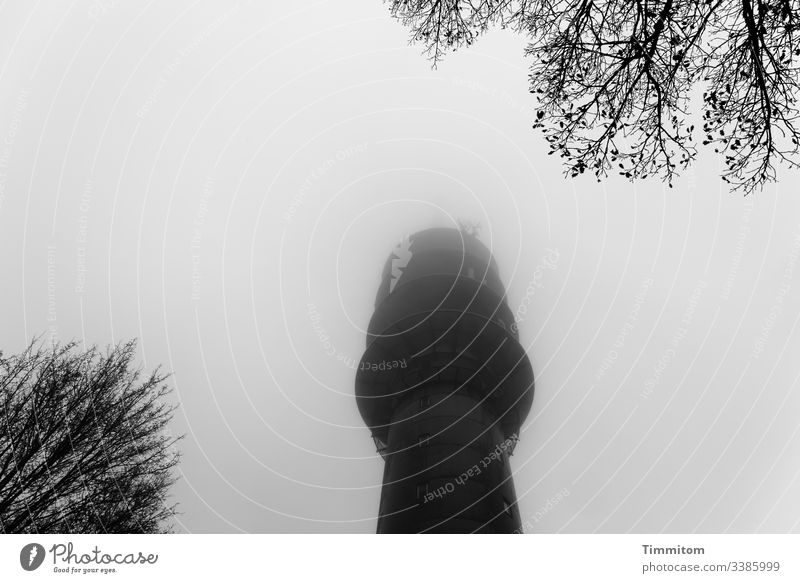 Fernmeldeturm im Winternebel Nebel Schwarzweißfoto dunkel düster Bäume Architektur kalt Außenaufnahme Menschenleer