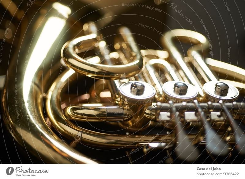launisches Detail des Waldhorns Detailaufnahme Instrument Hupe Musik Messing Musical Jazz Metall Klassik Band Konzert spielen Orchester Musiker Hintergrund
