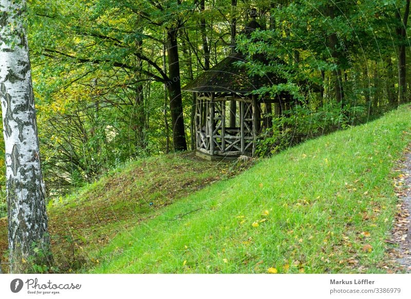kleiner Pavillon im Wald Wald Wälder Grün (Green) Landschaft Baum Hütte