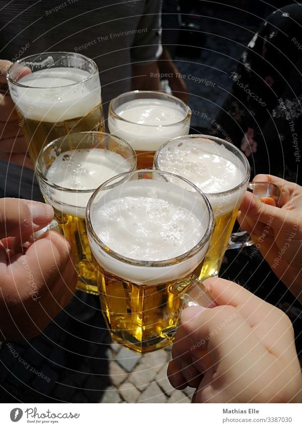 Prost! Mit einem vollen Glas Bier Außenaufnahme Freundschaft trinken Biergarten Alkohol Freude Farbfoto Tag Zuprosten Schwache Tiefenschärfe Party