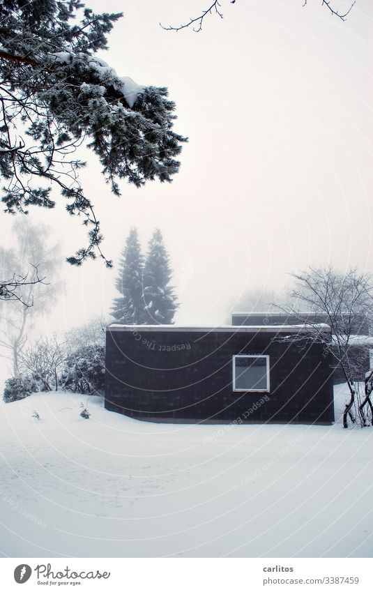 Dunkle Hütte im hellen Schnee Harz Winter Depression Einsamkeit Haus Bungalow Fenster Quadrat Schwarz Weiß Bäume Büsche