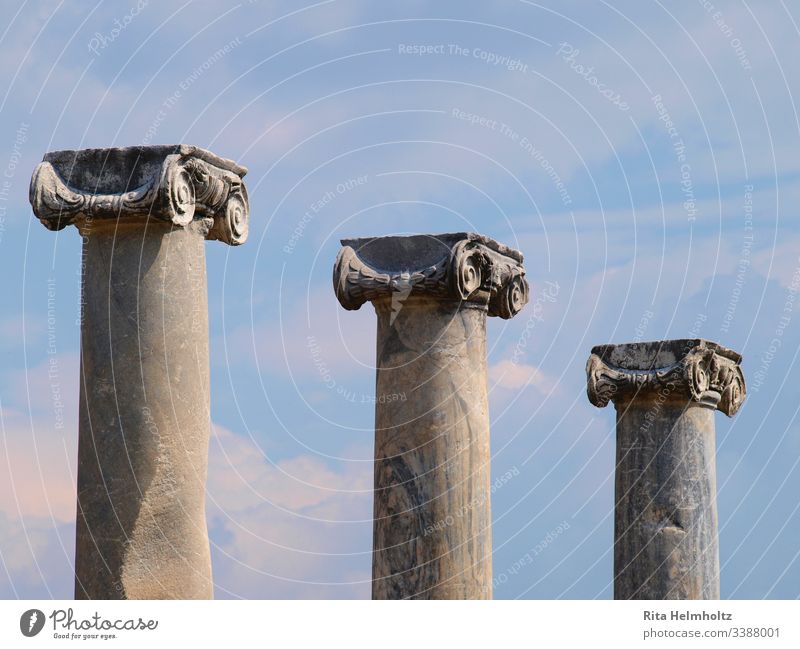 Säulen mit Ionischen Kapitellen in Perge, Türkei Ruinen ionische Kapitelle Tag Fereien Urlaub Reisen Außenaufnahme Tourismus Studienreisen Architektur