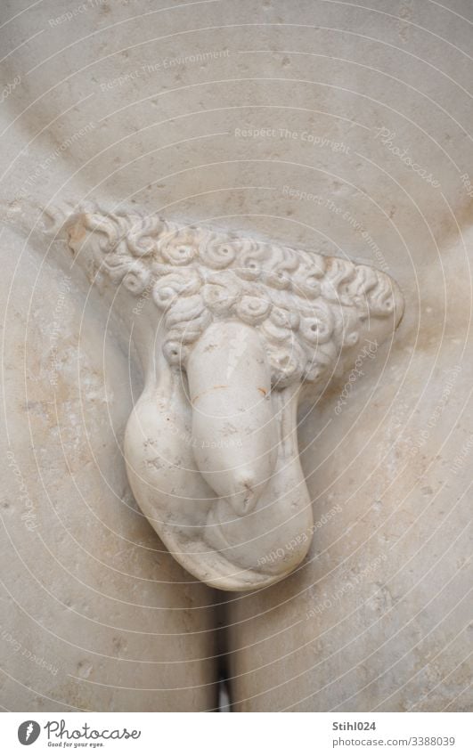 Penis Männlich Genital Hoden Schamhaar Statue Rom MArmorstatue weiß klassisch römisch griechisch Ausschnitt Geschlecht Geschlechtsmerkmal historisch Stein Kunst
