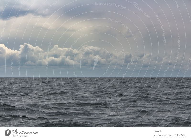 die Ostsee Segeln Wasser Meer Wellen Himmel Wolken Wetter Außenaufnahme Farbfoto Menschenleer Natur Segelboot Segelschiff Tag Horizont Bootsfahrt Jacht