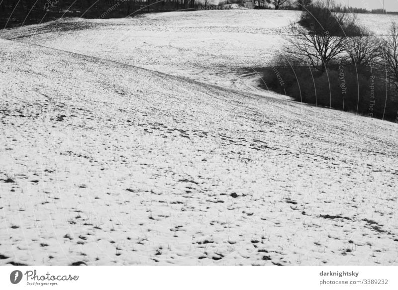 Szene aus dem Wildenburgischen Land bei Friesenhagen mit Schnee bedeckter Weide und einigen Bäumen. harmonisch wandern Tourismus Ausflug Winter Umwelt