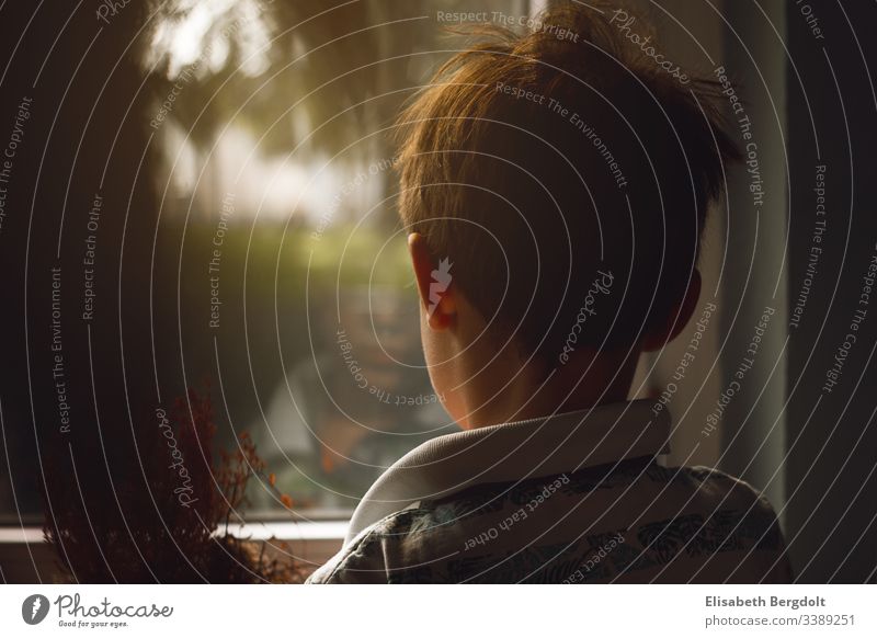 Fünf jähriger Junge schaut träumend aus dem Fenster Träumend sehnsucht traurig Kindheit Traurigkeit Einsamkeit