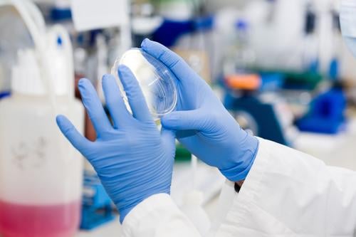Arbeit an einem Test Analyse Pflege prüfen Chemikalie Chemiker Chemie Klinik klinisch Corona-Virus Coronavirus Gefahr Fundstück Krankheit Desinfektion Seuche