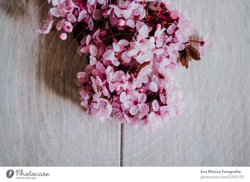 Frühlingsbordüre oder Hintergrundkunst mit rosa Blüte. Wunderschöne Naturszene mit Mandelbaumblüten im Innenbereich. Frühling Blumen Überstrahlung Blumenstrauß