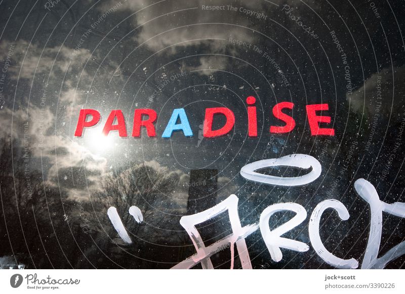 Paradise an einem tristen und sonnigen Tag Dämmerung Wort Paradies Inspiration Sehnsucht Hoffnung Stimmung Sonnenlicht Gegenlicht Winterstimmung Experiment