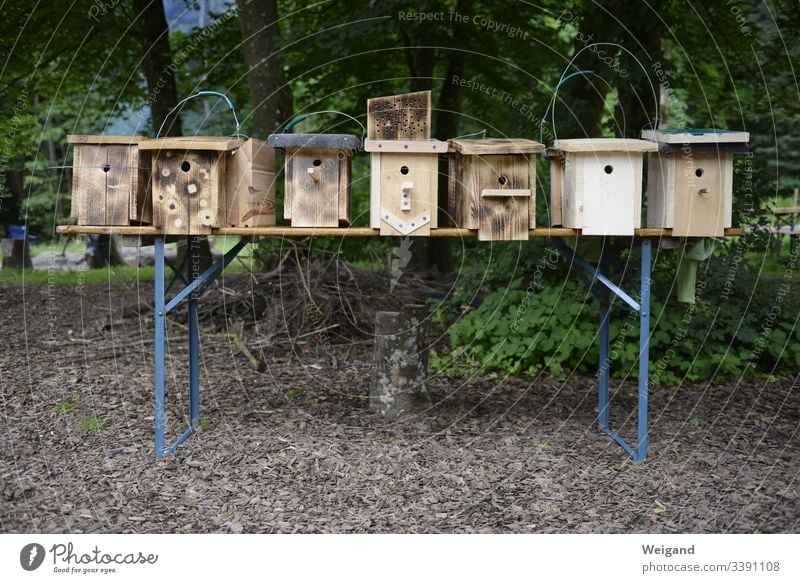 Nistkasten vogelschutz Naturschutz bauen Holz schreinern