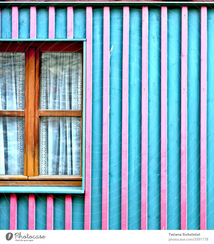 türkis-pinke Hausfassade mit Holzfenster Fenster Fassade Holzwand Farbfoto Holzhaus Streifen bunt gemütlich
