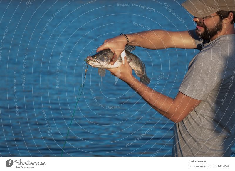 Schlaraffenland|wo die Fische einem in die Hände springen Person männlich junger Mann Angler Hecht Angelhaken see Wasser See fangen Natur Angeln Fischen