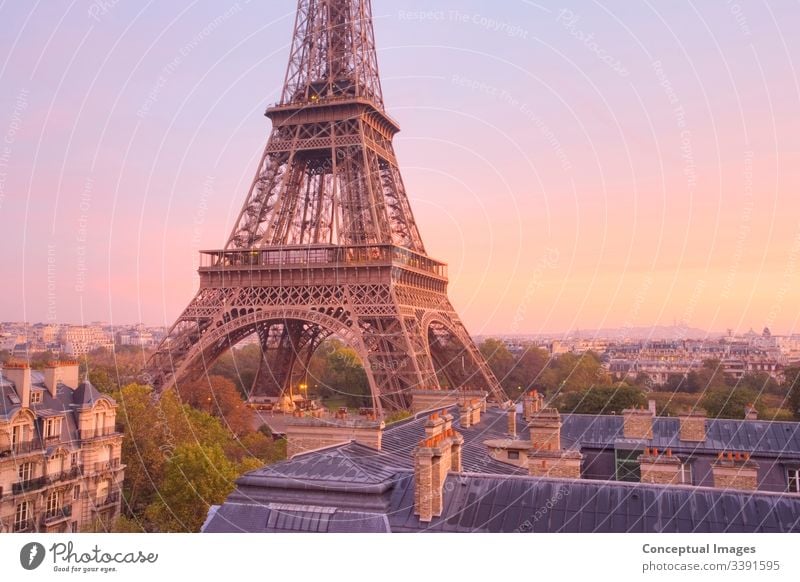 Hochansicht des Eiffelturms im Morgengrauen, Paris, Frankreich. architektonisch Architektur Anziehungskraft schön Gebäude Kapital Großstadt Stadtbild